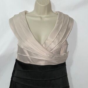 NWT, Jones Studio Dress, Size 8